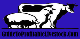 Profitable Zebu Cattle